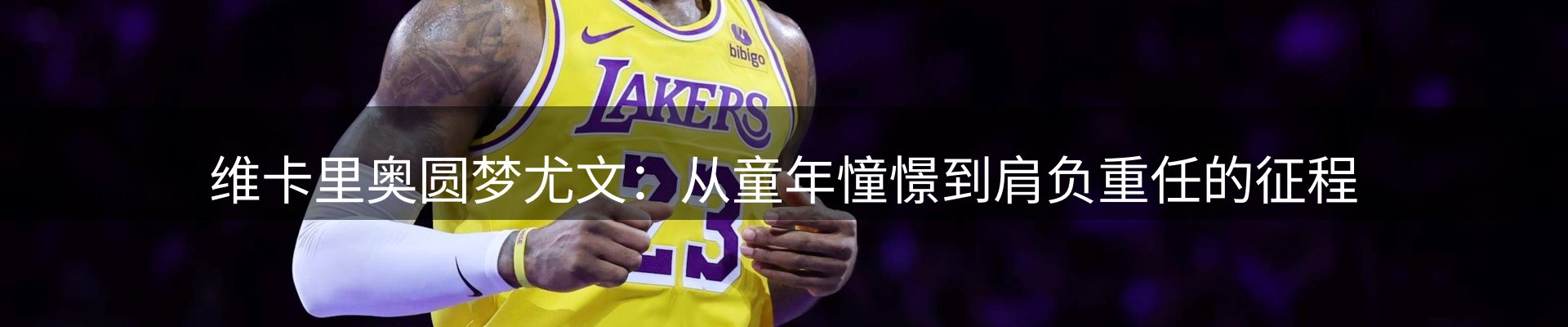 内页banner